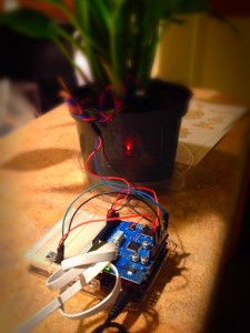 IMG_20130202_210941